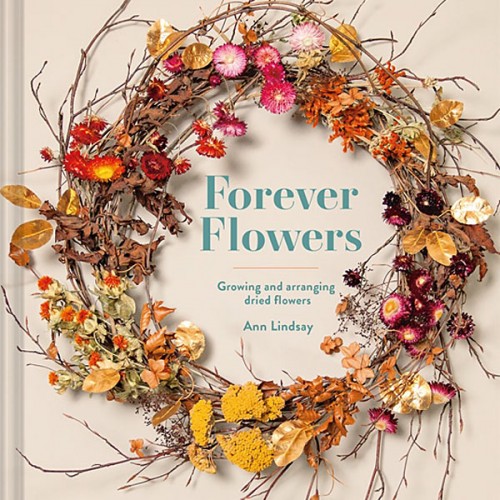 Ann Lindsay 'Forever Flowers' at Birnam Arts