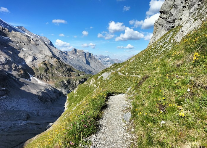 An Alpine Ecological Excursion
