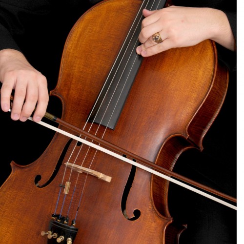 Cello Workshops at Birnam Arts