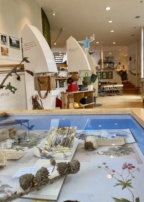 Beatrix Potter Exhibition