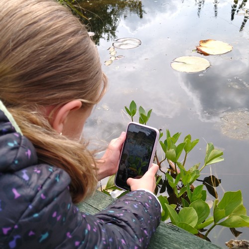 Nature Clicks Workshop at Birnam Arts