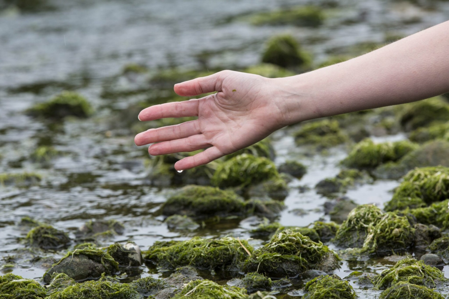 Bodies of Water