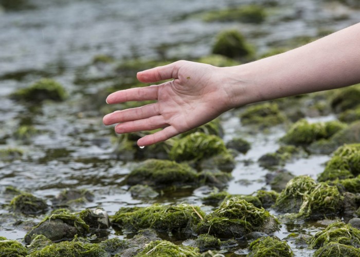 Bodies of Water at Birnam Arts