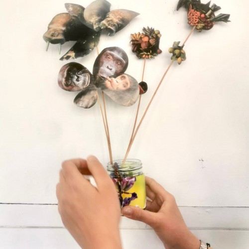 Half Term Kids Workshop with Nicky May Bolland at Birnam Arts