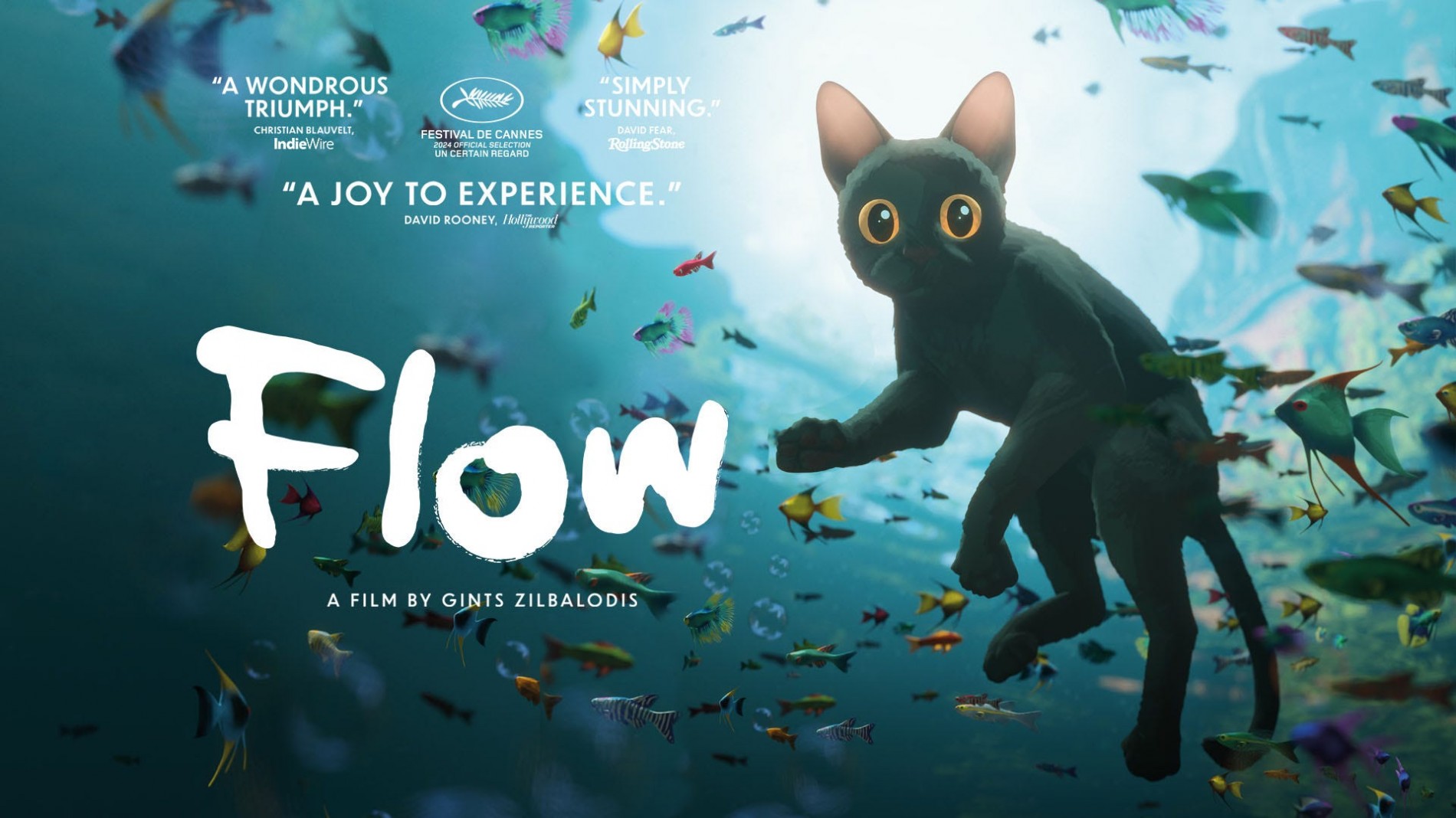 Flow Film