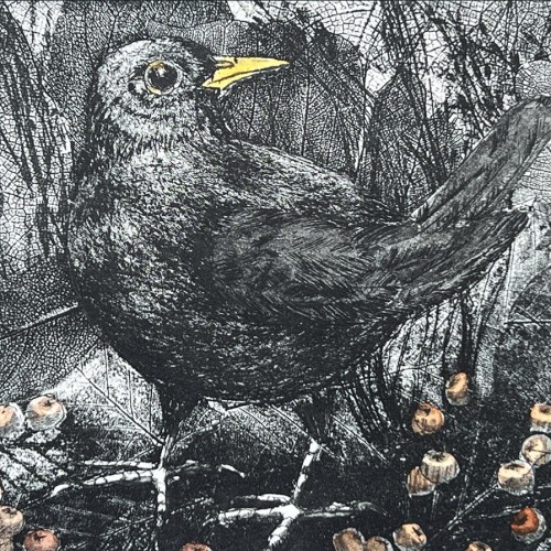 Sheila Roberts The Blackbird
