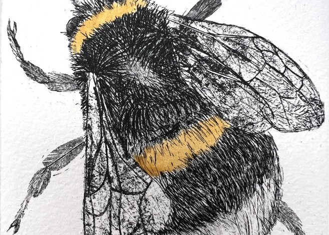 Prints with a Pasta-Maker Workshop with Sheila Roberts at Birnam Arts
