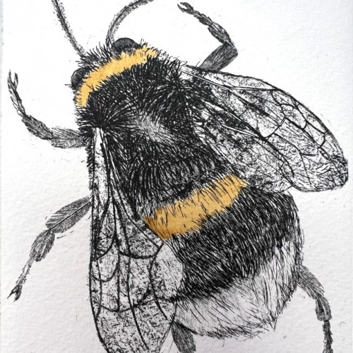 Sheila Roberts Bumble Bee