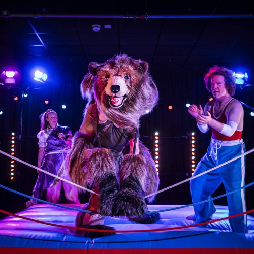 Hercules the Bear at Birnam Arts