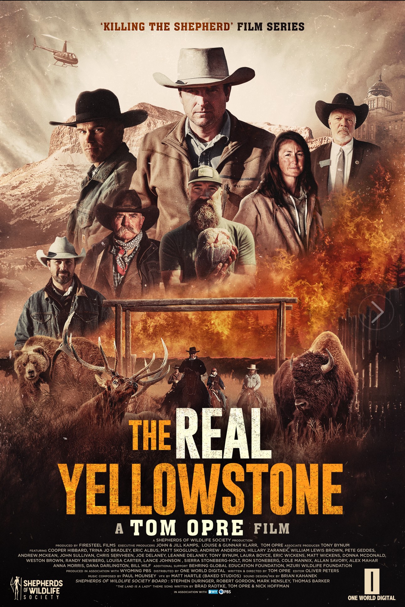 The Real Yellowstone