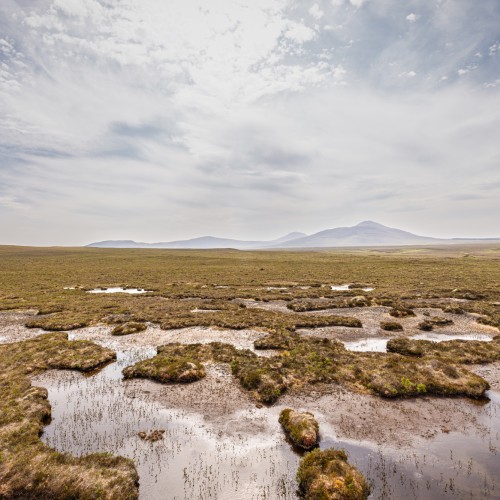 Ian Findlay Mackay The Flow Country