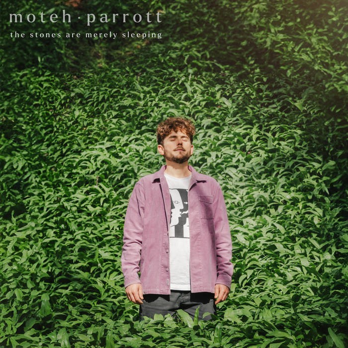 Moteh Parrott