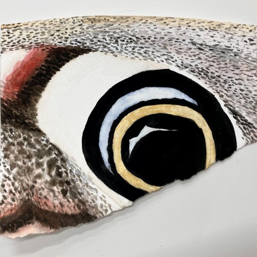 Jan Hendry Moth Painting