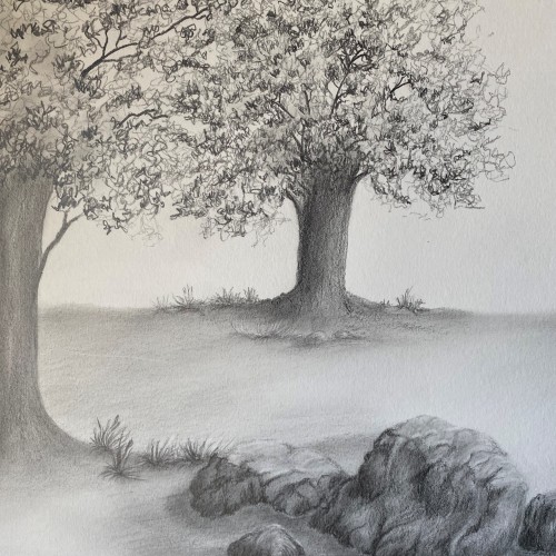 photos for MARCH 7 drawing class