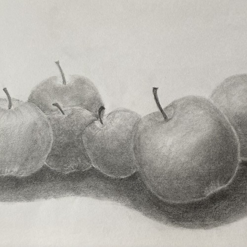 photos for MARCH 7 drawing class