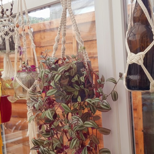 new macrame photos