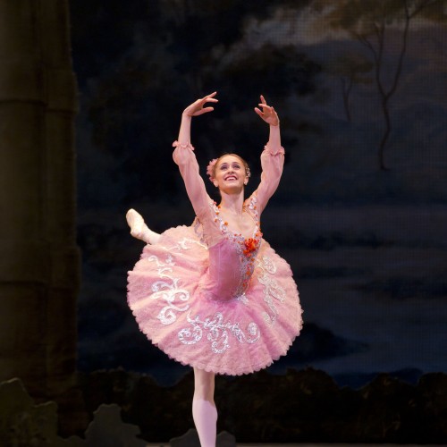 Adult Ballet Festival Caledonia at Birnam Arts