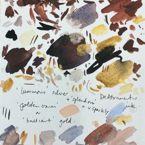 Hendry Moths colours images