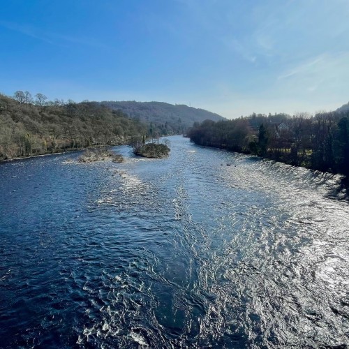 Tay images with edits