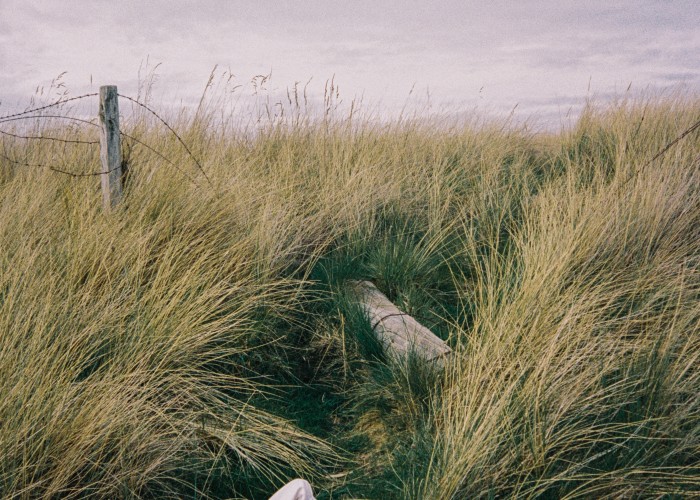 Rachel Sermanni at Birnam Arts