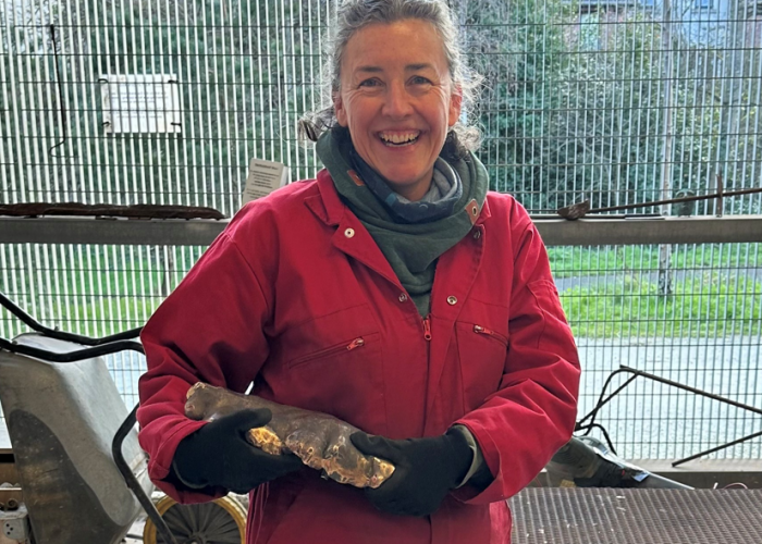 Summer Arts for Kids with Helen Obrien at Birnam Arts
