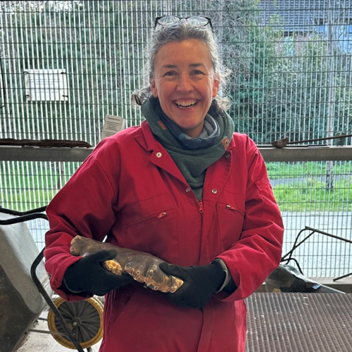 Summer Arts for Kids with Helen Obrien at Birnam Arts
