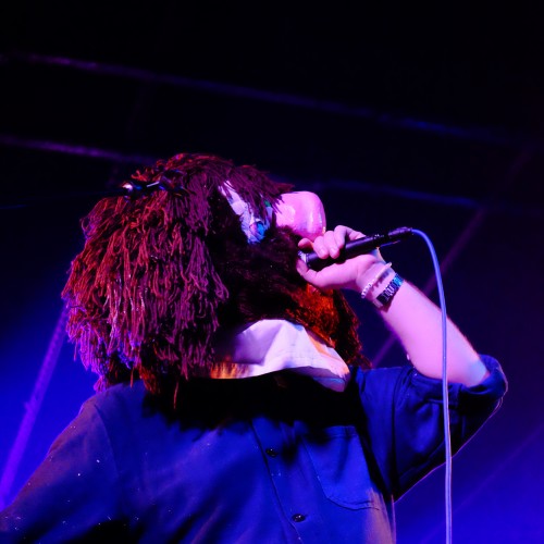 pictish trail
