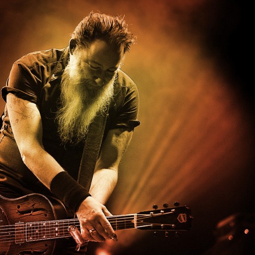 Dave Arcari
