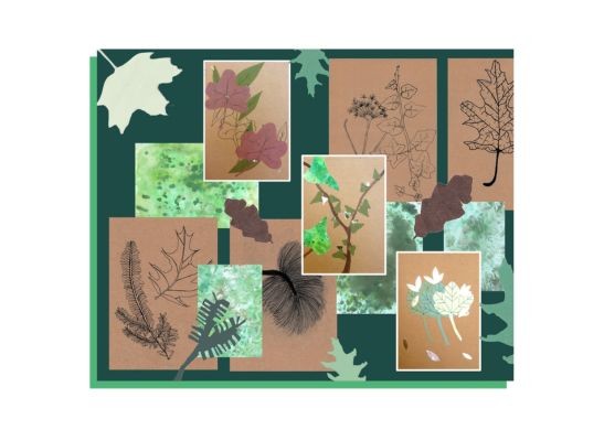 Nature Inspired Mixed Media Workshop with Victoria Fifield at Birnam Arts