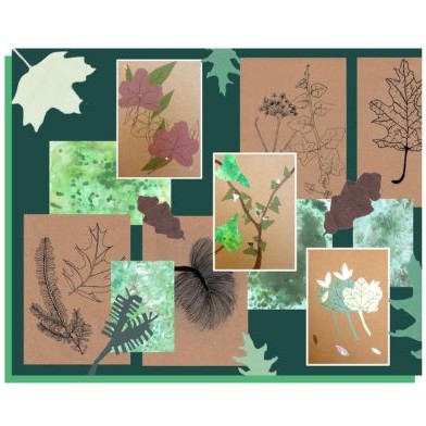 Nature Inspired Mixed Media Workshop with Victoria Fifield at Birnam Arts