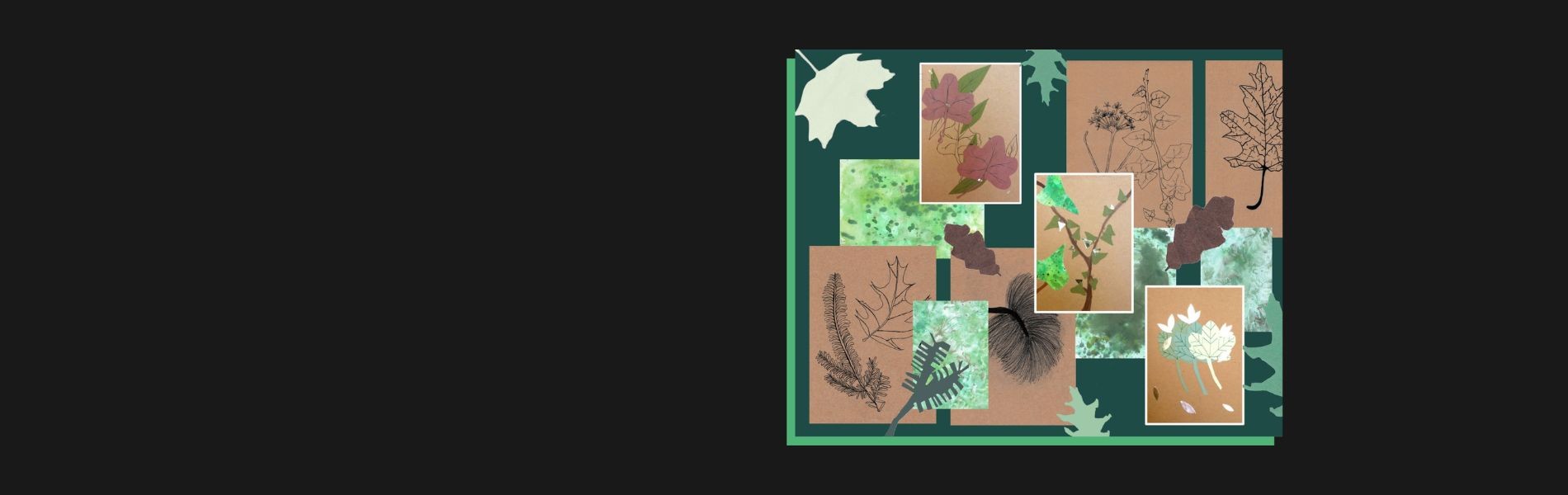 Nature Workshop