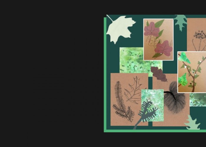 Nature Inspired Mixed Media Workshop with Victoria Fifield at Birnam Arts