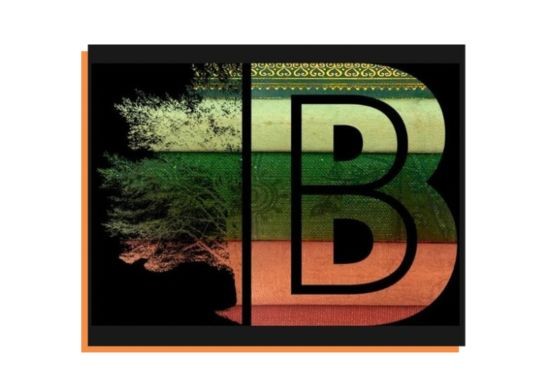 Birnam Book Festival at Birnam Arts